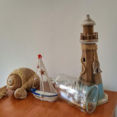 Apartment Manuel Novigrad Istria Dış mekan fotoğraf